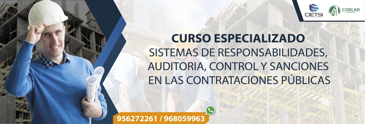 curso especializado sistemas de responsabilidades  auditoria  control y sanciones en las contrataciones pUblicas 2017