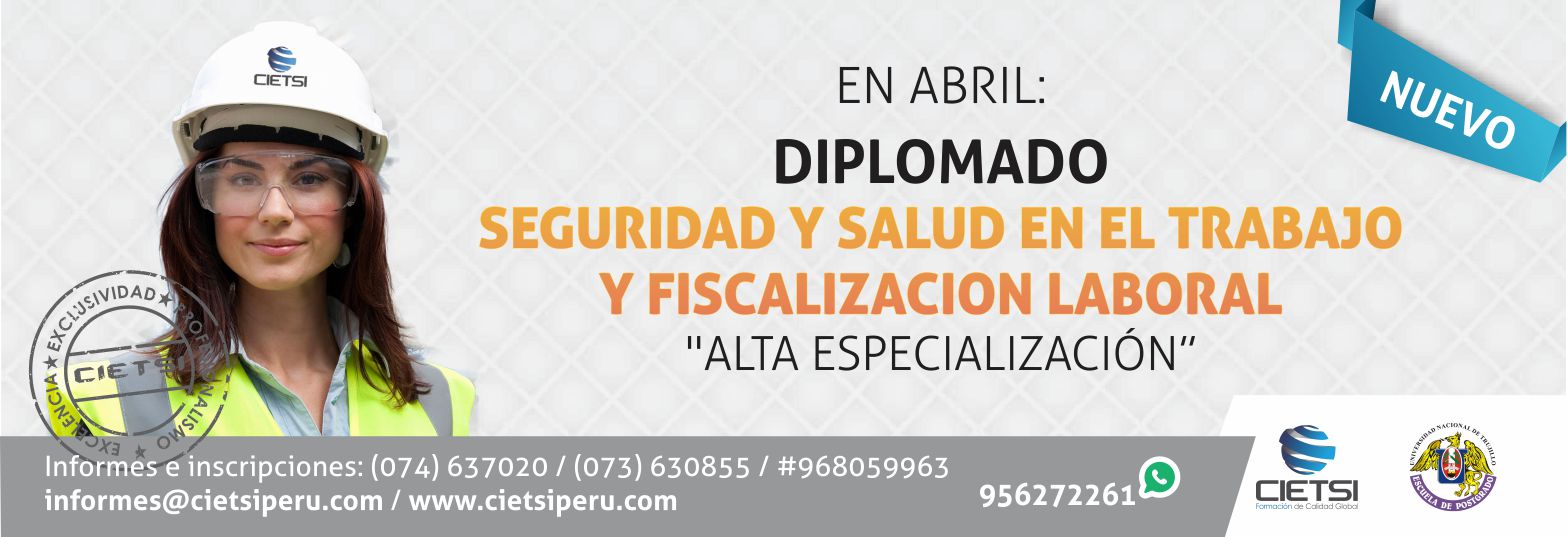 diplomado en seguridad y salud en el trabajo y fiscalizaciOn laboral 2016